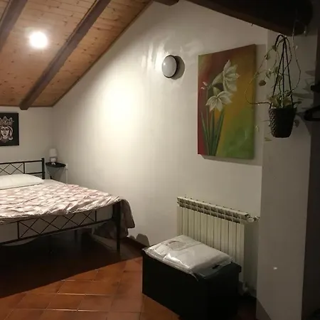 Apartment G.home